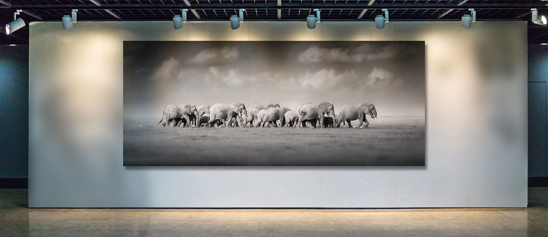 TIW Banner 05 - Metal