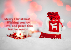 Festive Frost