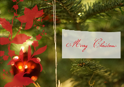 Merry Christmas