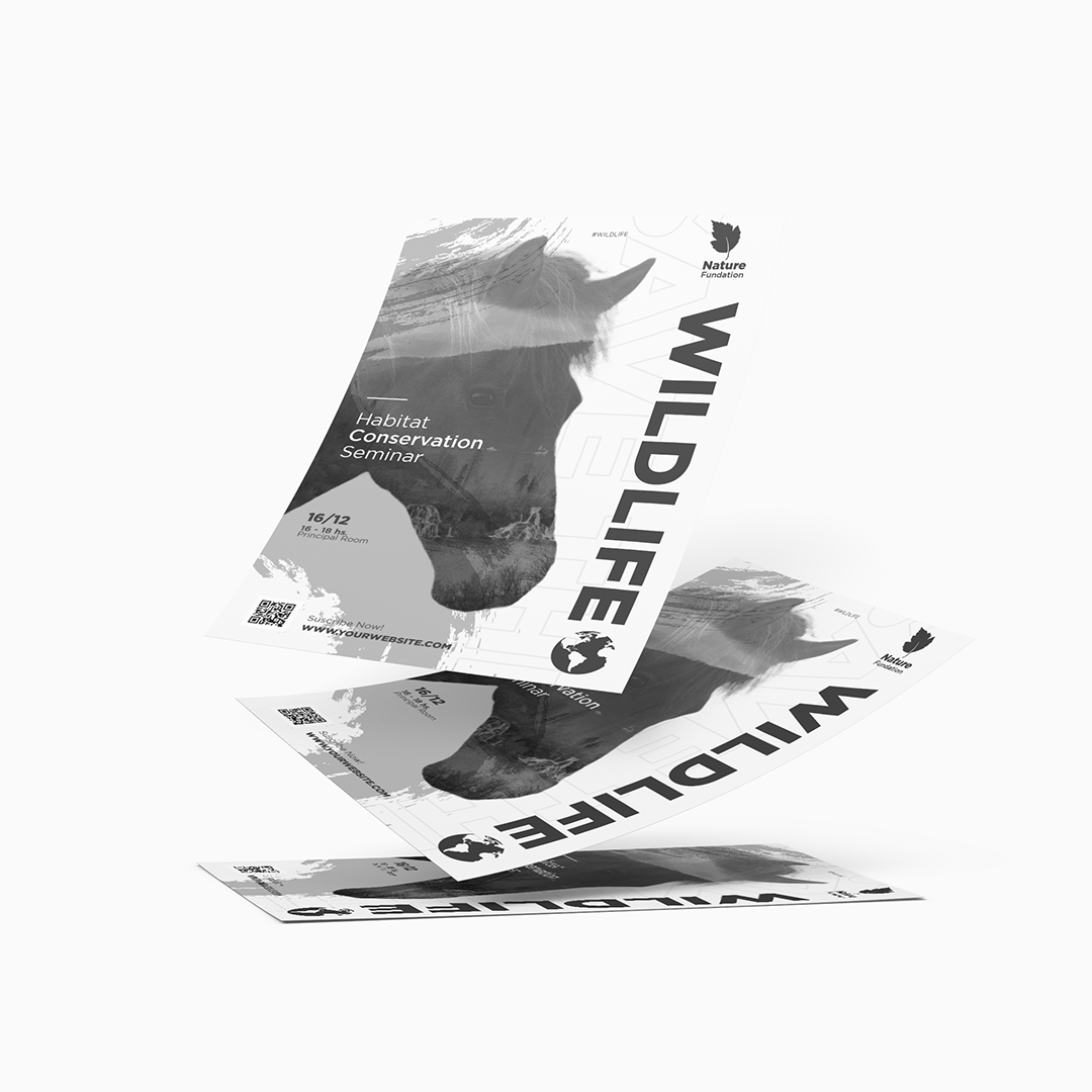https://d2tl9ctlpnidkn.cloudfront.net/triangled/images/product/Flyers-_Black-_-White_.png