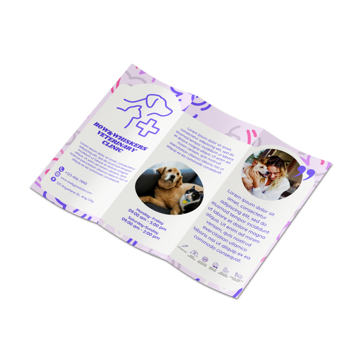 Trifold brochure on a white background