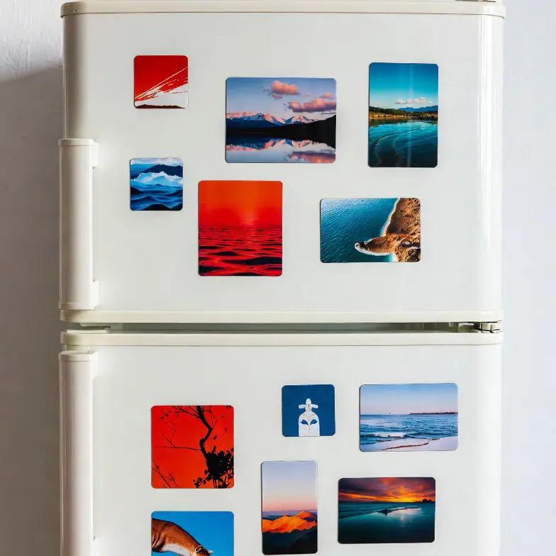 Fridge Magnets