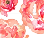 Flower Insert 6.5x5.5 (fits A7 envelope for 5x7 card)