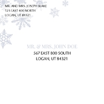 Snowflake Wedding 6" square Envelope (fits 5-3/4 square card)