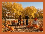 2027 Calendar - Seasonal Colors