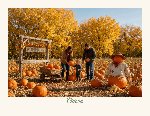 2027 Calendar - Farmhouse