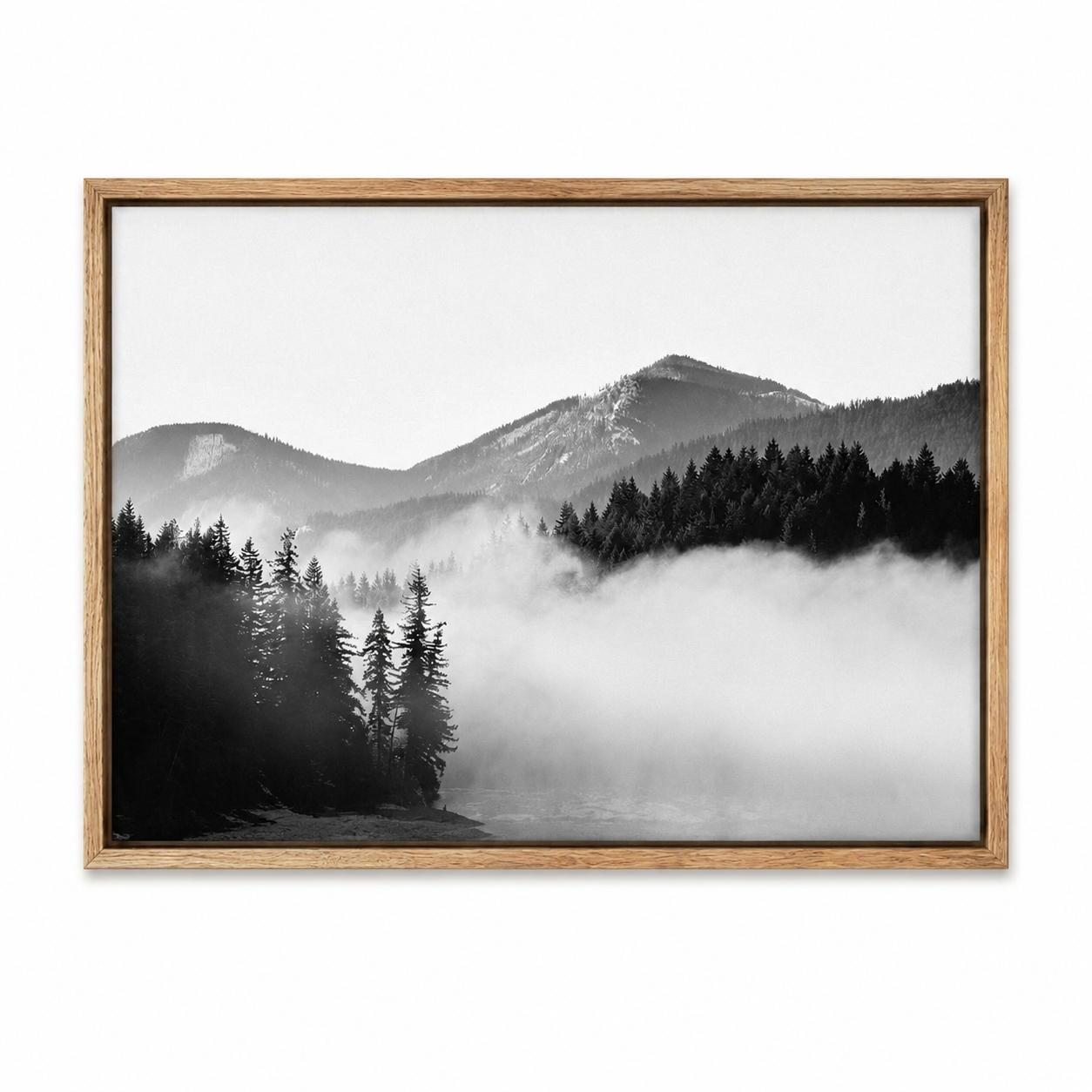Framed Canvas