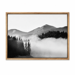 Framed Canvas 1