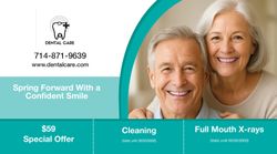 Spring Cleaning Postcard 11